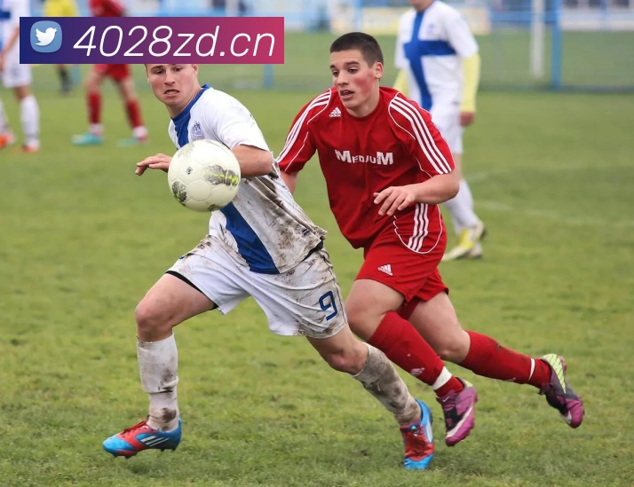 星空网页版登录界面品牌故事