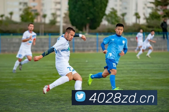 星空网页版登录界面服务体系